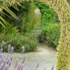 fleur aloe en colonne 2