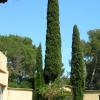 Villa de Noailles  8