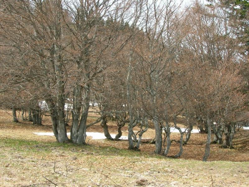 vuesplateau005