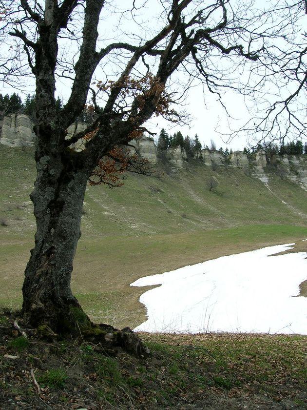 vuesplateau016