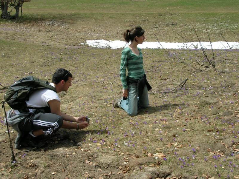 en observation