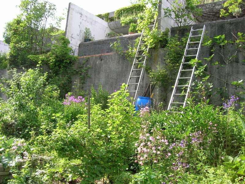 Halen JARDIN 2