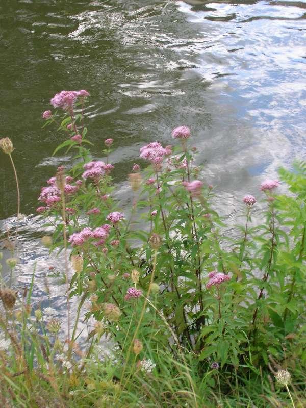 canal
